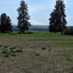 N Harris Rd Goldendale